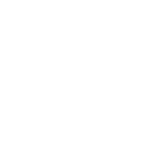 BingX – Kryptobörse unserer Wahl