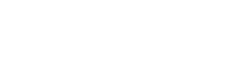 BingX – Kryptobörse unserer Wahl