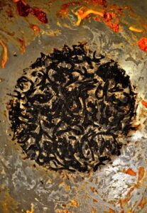 Müll im Haushalt vermeiden: 7 sofort umsetzbare Zero‑Waste‑Tricks